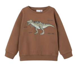 Name It - Sweater - Trui - Dino - Bruin