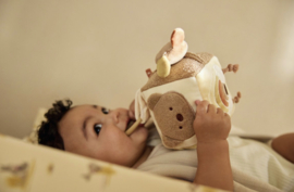 Jollein - Activiteitenkubus - Kangaroots