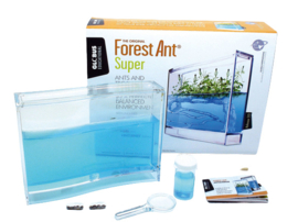 Antquarium - Mieren terratium