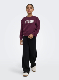 Only - Sweater - KOGSWEAT - Studio - Terry