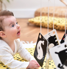 Banana - Panda - Hoog - Contrast - Flitskaarten - Aan - Ring - 3m+