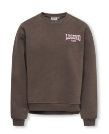 Only - Sweater - KOGVICKY - Legend Vibes - Bracken