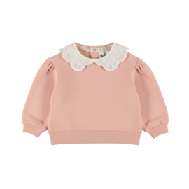 Dirkje - Sweater - Misty rose