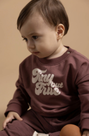 Noppies- Trui - Sweater - Tiny but True - Baked Cherry