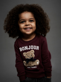 Name It - Sweater - Trui - NMFREAR - Burgundy