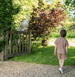 Koko Noko - Blouse - Korte - Mouw - Bruin - Maat 98