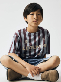 Name It - T-shirt NKMFidur - Legends - Blue Fog