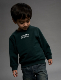 Name It - Sweater - Trui - NMMSLADE - 3D Backprint - Pine Grove