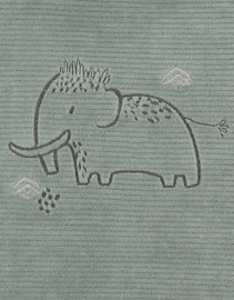 Noukie's - Pyjama - Mammoet - Groen - Unisex