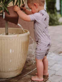 Nuuroo - UV - Werend - Zwemset - Kali - Dino's