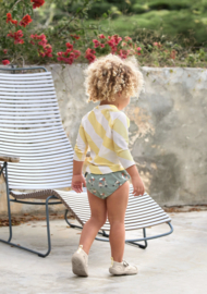 Lässig - Zwemluier - Hondje - Scooter - Groen