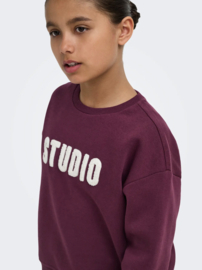 Only - Sweater - KOGSWEAT - Studio - Terry