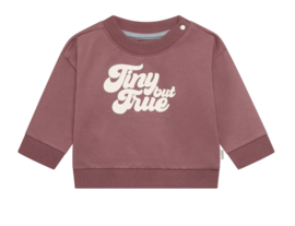Noppies- Trui - Sweater - Tiny but True - Baked Cherry