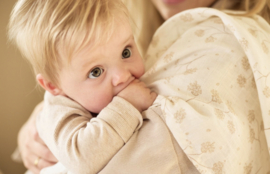 Jollein - Hydrofiele doeken - Leafy Dreams - 70x70cm