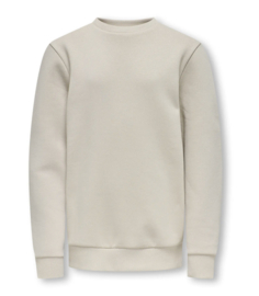 Only & Sons - Trui - Sweater - OSJCERES - Silver Lining