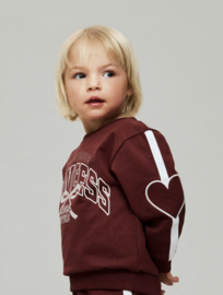 Name It - Trui - Sweater - NMFBotanja - Oxblood Red