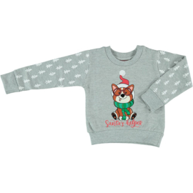 Baby - Kerstsweater - Kersttrui - Grijs - Hond