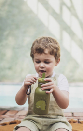 Trixie - Drinkfles - Mr. Dino - RVS waterfles - Lekvrij - 350ml - Groen