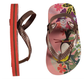 XQ Footwear - Slippers - Toekan