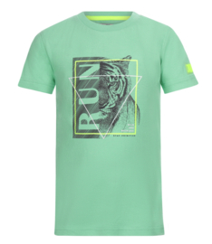DJ Dutchjeans - T-shirt - Bright - Green - Tijger