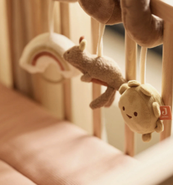 Jollein - Activiteitenspiraal - Kangaroots