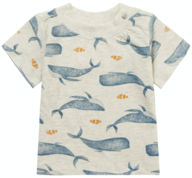 Noppies - T-shirt - Mullins - Walvis - Oatmeal