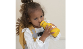 Trixie - Drinkfles - Mr. Lion - Leeuw - RVS waterfles - Lekvrij - 350ml - Geel