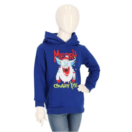 Apollo - Kids - Kerst - Hoodie - Merry - Crazymas - Blauw
