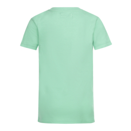 DJ Dutchjeans - T-shirt - Bright - Green - Tijger