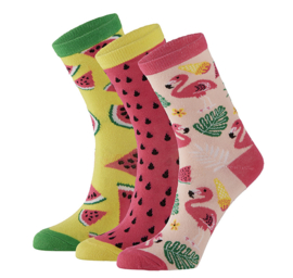 Apollo - Sokken - Meloen - Giftbox - Carnaval - 3-pack - In - Cadeauverpakking