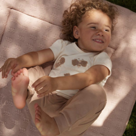 Dirkje - T-shirt - Wit - Bijtjes