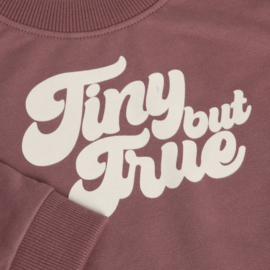 Noppies- Trui - Sweater - Tiny but True - Baked Cherry
