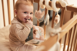 Jollein - Baby - Activiteitenkubus - Lovely birds