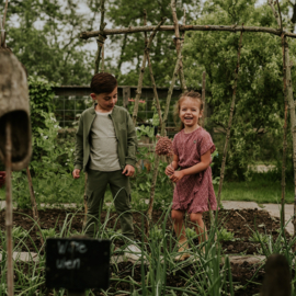 Koko Noko - Jurk - Cassis