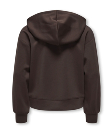 Only - Hoodie - KOGADA - Regular Fit - Coffee Bean Label
