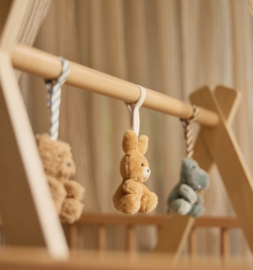 Jollein - Babygym speeltjes - Jollies