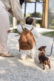 Jollein - Rugtas - Diego - Teddy stof