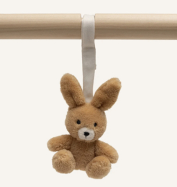 Jollein - Babygym speeltjes - Jollies