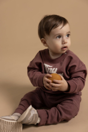 Noppies- Trui - Sweater - Tiny but True - Baked Cherry