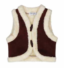Dirkje - Gilet - Bruin