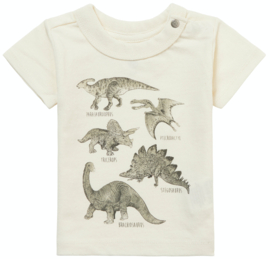 Noppies - T-shirt - Momence - Dinosaurus - Pristine