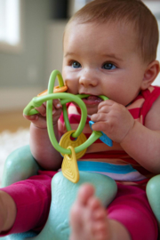 Greentoys - Rammelaar - Bijtring - Twist Teether