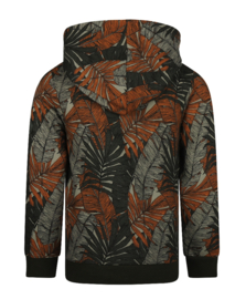 Koko Noko - Hoodie - Trui - Faded - Green