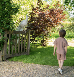 Koko Noko - Korte - Broek - Bruin - Maat 110