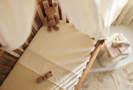 Jollein - Rammelaar - Kangaroots