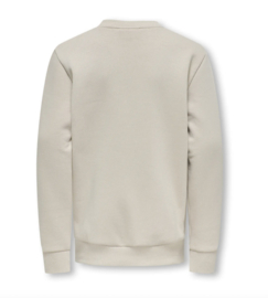 Only & Sons - Trui - Sweater - OSJCERES - Silver Lining