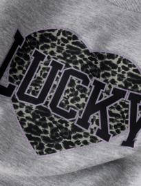 Name It - Trui - Sweater - NKFBima - Grey Melange - Lucky