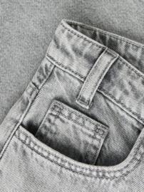 Name It - Broek - NKFBELLA - X-WIDE - Light Grey Denim