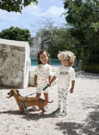 Lässig - UV - Zwemshirt - Shortsleeve - Hondje - Sea Salt