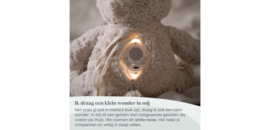 Baby's Only Bo de knuffelbeer met slaaptrainer - Baby knuffel met white noise en slimme huilsensor - Nachtlicht - Warm Linen